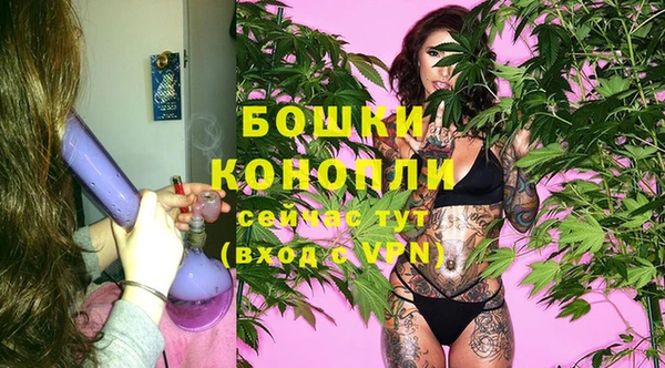 трава Беломорск