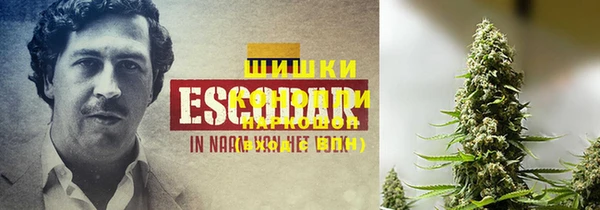 тгк Белоозёрский